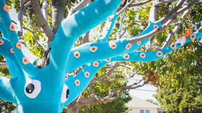 Squid Tree