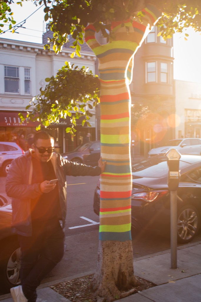 Tree Yarnbomb Seed + Salt knitbomb urban knitting