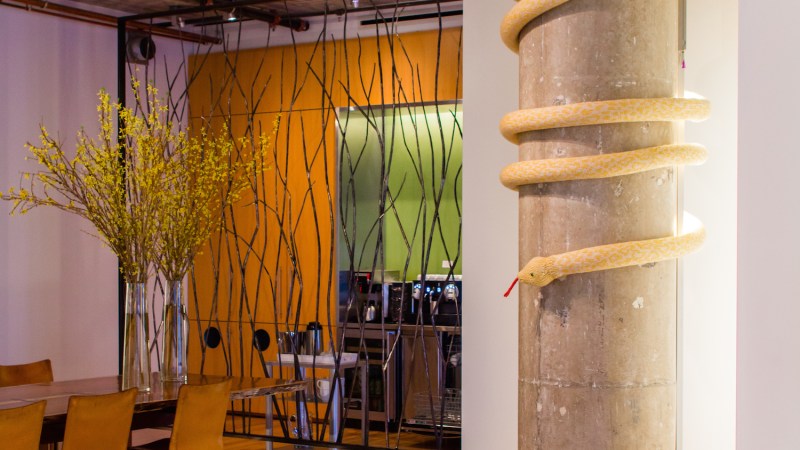 Albino Burmese Python&nbsp;Yarnbomb