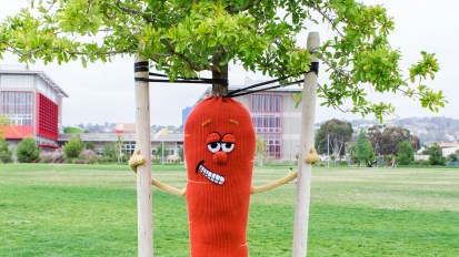 Stilt-Walking Carrot