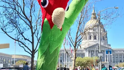Knitting the Commons: Parrots