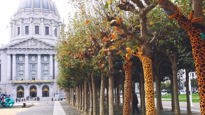 Knitting the Commons:&nbsp;Giraffes