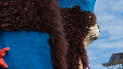 Knitting the Commons: Sea Otters