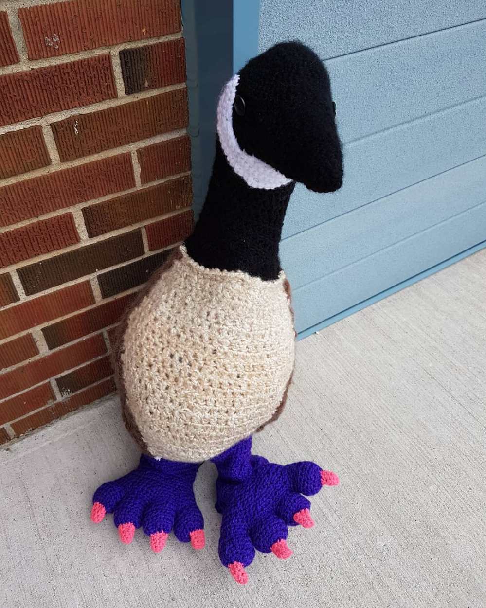 33401303_1780147242073456_5849693256119484416_n