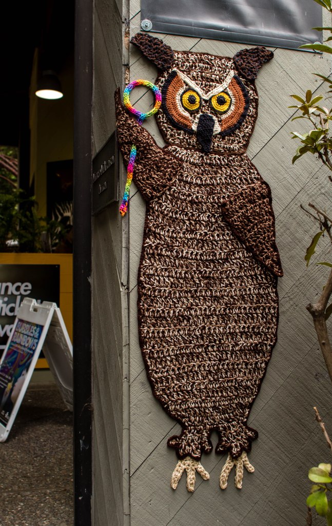Curiodyssey x Knits for Life Bubbles & Rainbows Owl Yarnbomb